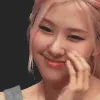 aRoseCute2