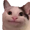 politecat