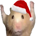 yayNavidad yayNavidad