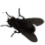 fly Discord emoji