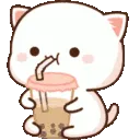 boba_cat boba_cat
