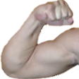 dh_MuscleLeft Discord emoji
