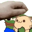 speedpeppoandcatpet