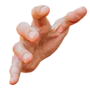 HandL