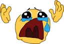 NoOo