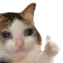 sadOkayCat Discord Emoji