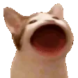 catPop