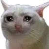 NeNado