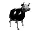 RWPolishCow