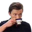 SA_tom_sip