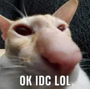 SCokidclol