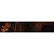 41_NodZoomLeo
