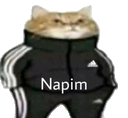 napim Discord emoji
