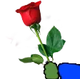 G_rose