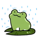 frogRain