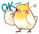 birdok