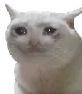 sadcat Discord Emoji