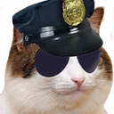 PoliceKat