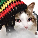 HighKat