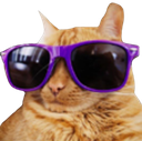 CatCool Discord emoji