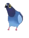 pijo