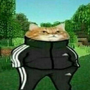 Slavcat Discord emoji