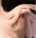 cattosquish