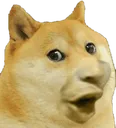 poge