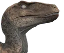 utahphekda