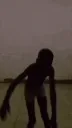 spider_2