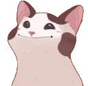 BopBopCatoonL