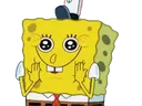 spongeaww