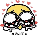 face_sniff