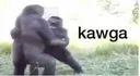 kawga