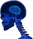ym_smol_brain
