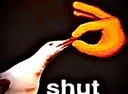 shutt