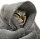 rel_cat_sleepy