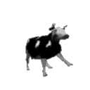polish_cow