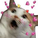 cat_loveshook