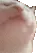 catJAM