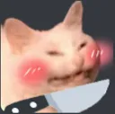 Cat Knife Discord Emoji