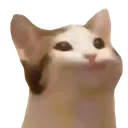 pauseCat