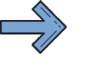 _fleche Discord emoji