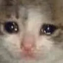 crybaby_cri crybaby_cri