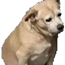 SadDog SadDog