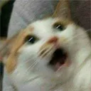 INTENSEFLASHBACKS