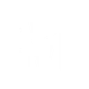 level