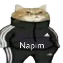 gx_napim gx_napim