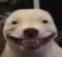 cheysmiling cheysmiling