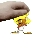 Speedy_Pat
